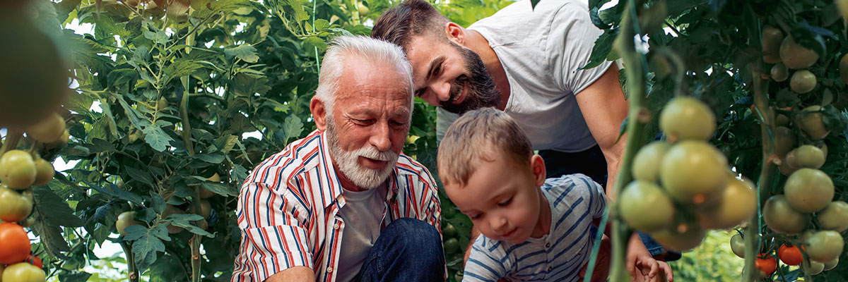 Illinois Life insurance coverage